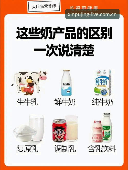揭秘新莆京平台娱乐焕新亮相：老用户才知道的登录入口使用指南